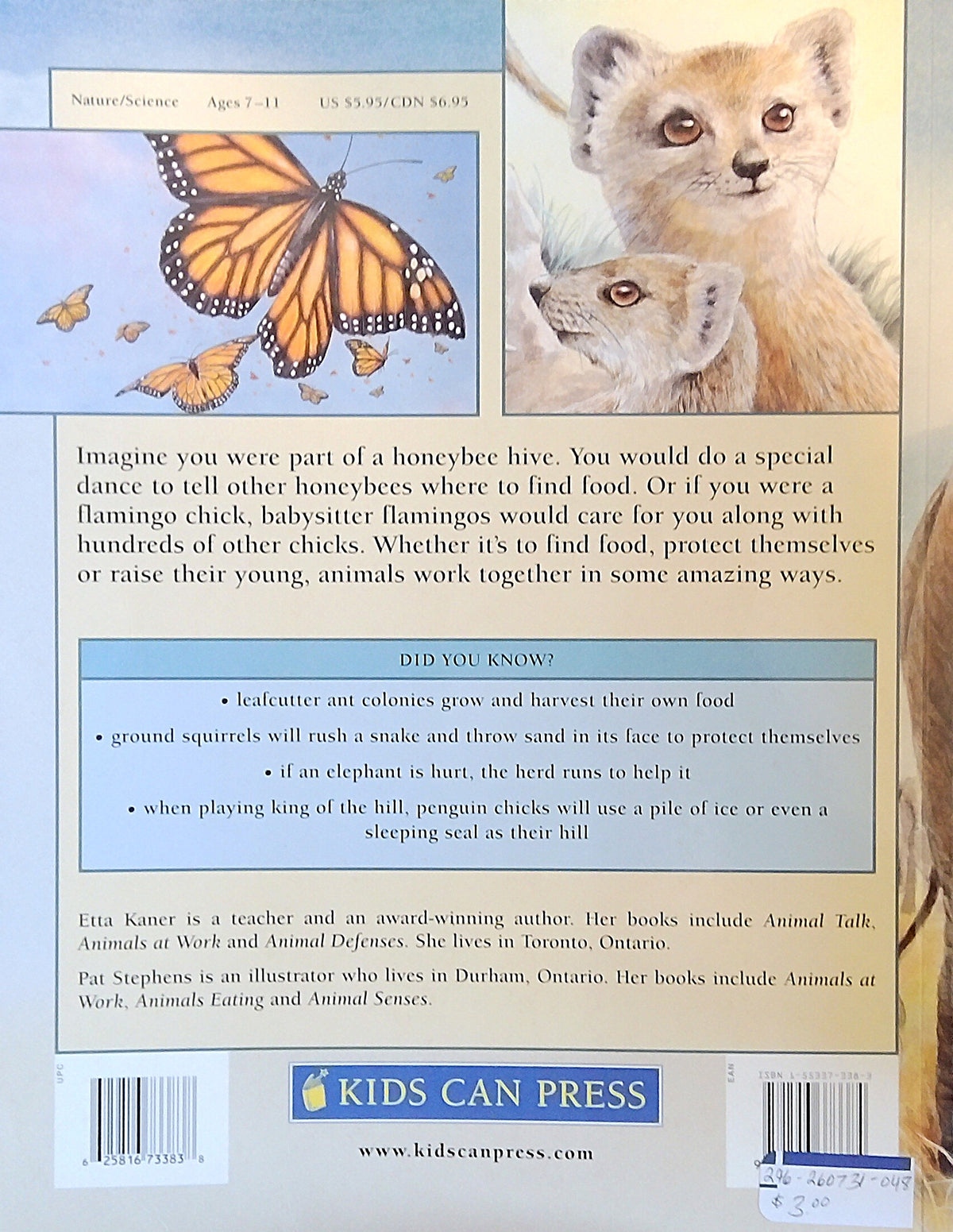 Animal Groups