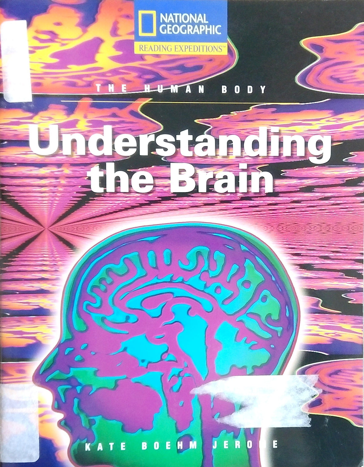 Understanding The Brain
