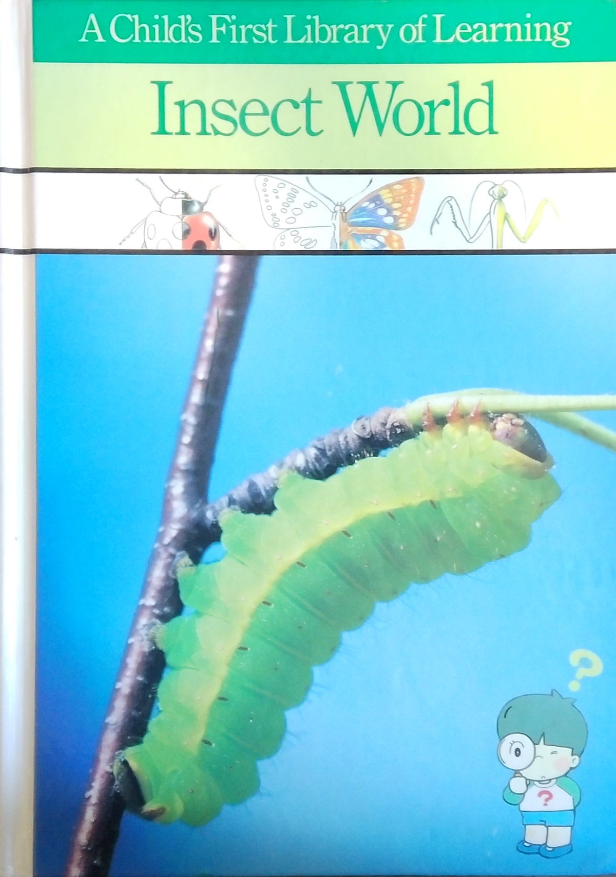 Insect World