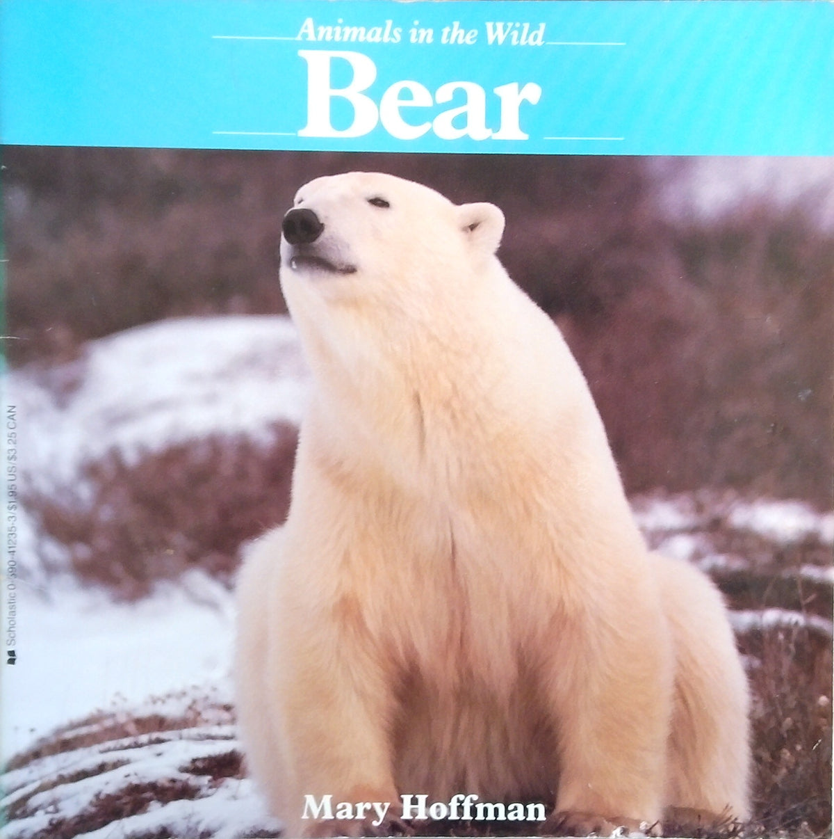 Animals In The Wild: Bear