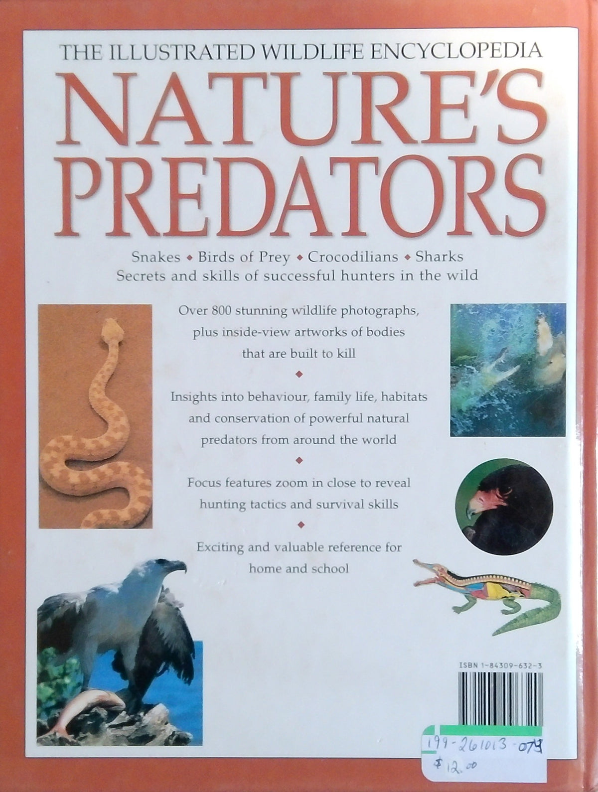 The Illustrated Wildlife Encyclopedia: Nature's Predators