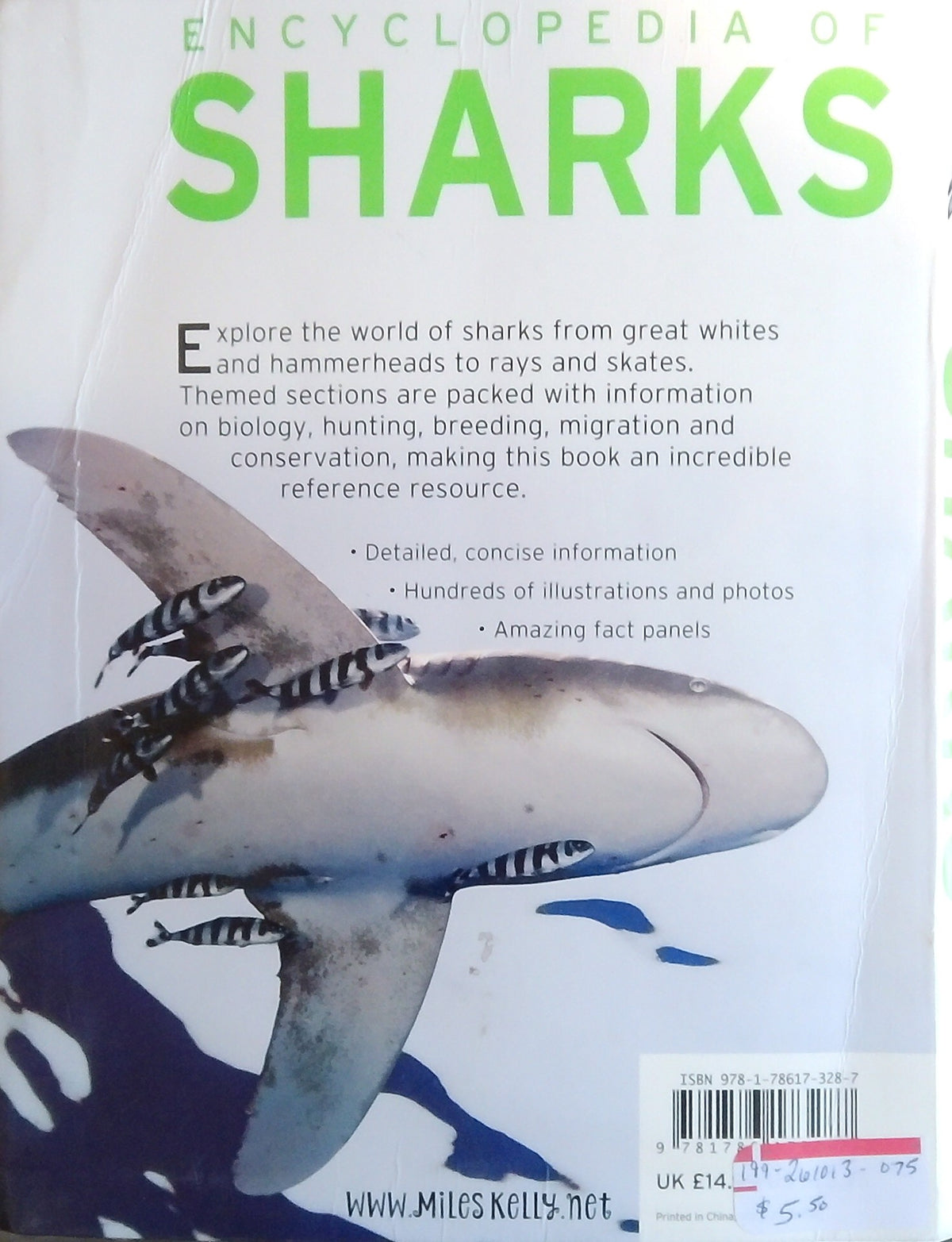 Encyclopedia Of Sharks