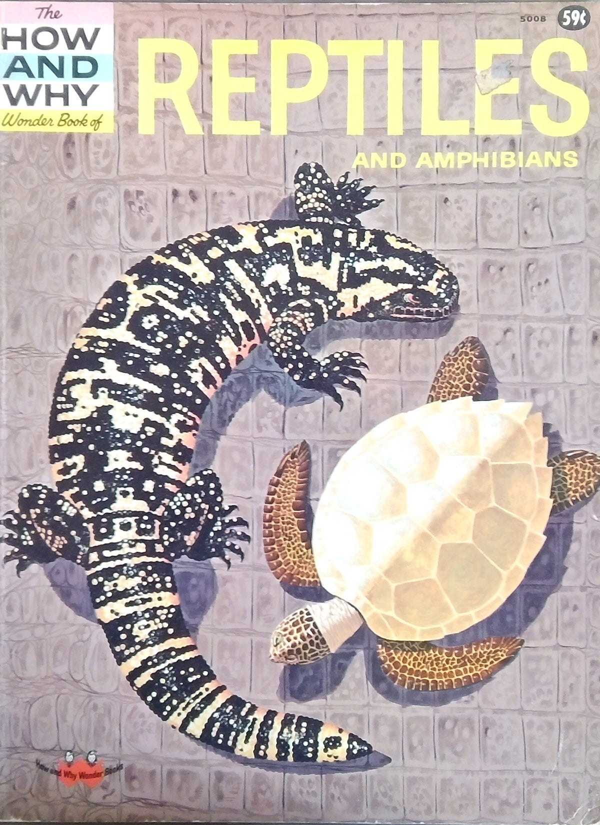 Reptiles And Amphibians