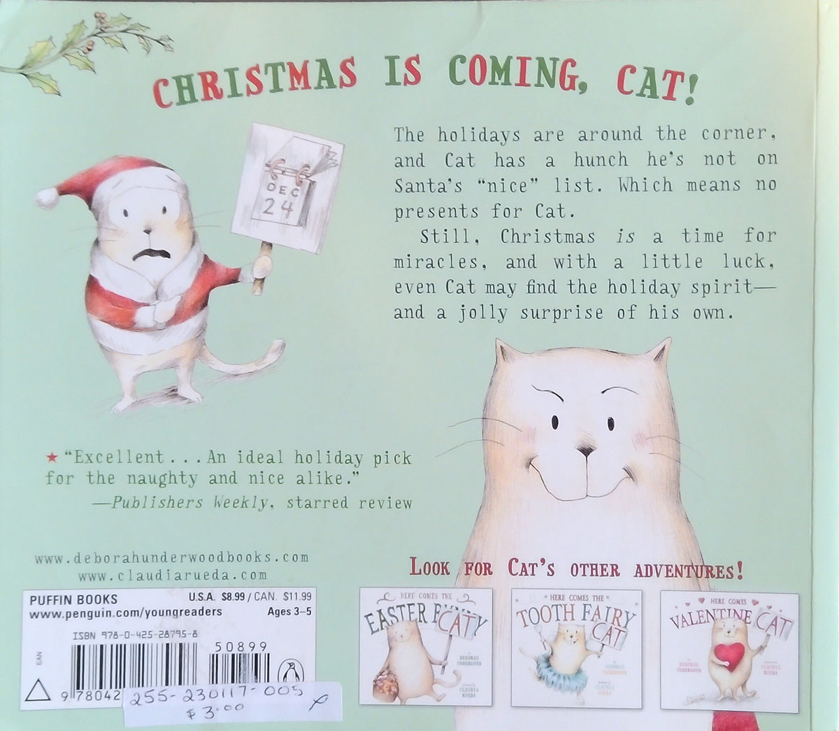 Here Comes Santa Cat