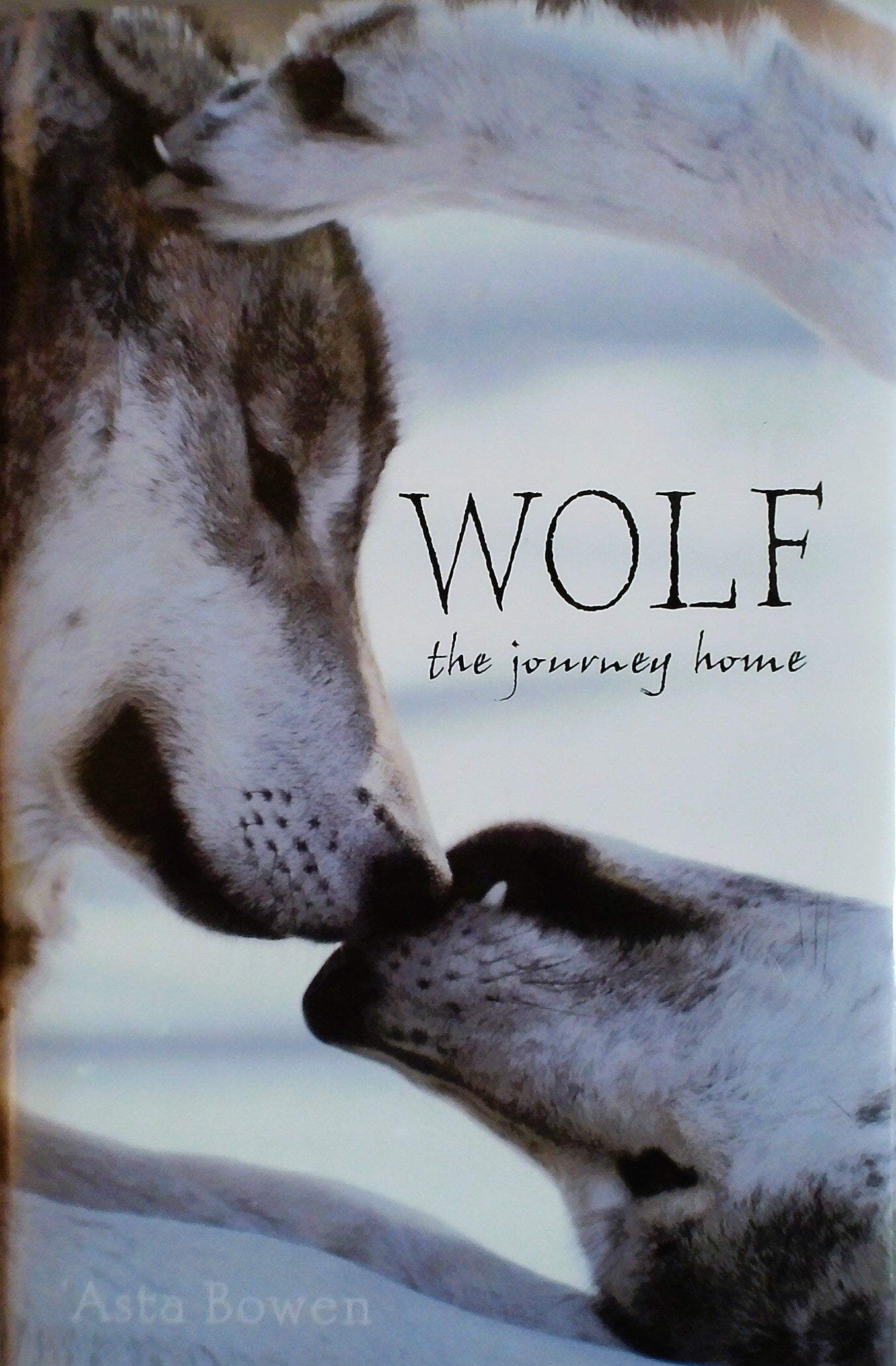 Wolf: The Journey Home