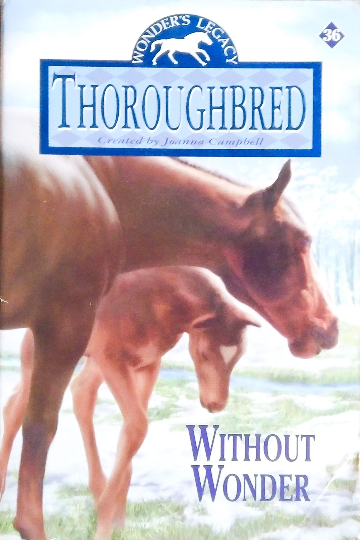 Thoroughbred: Without Wonder