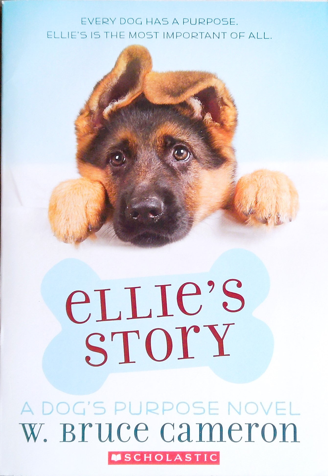 Ellie's Story