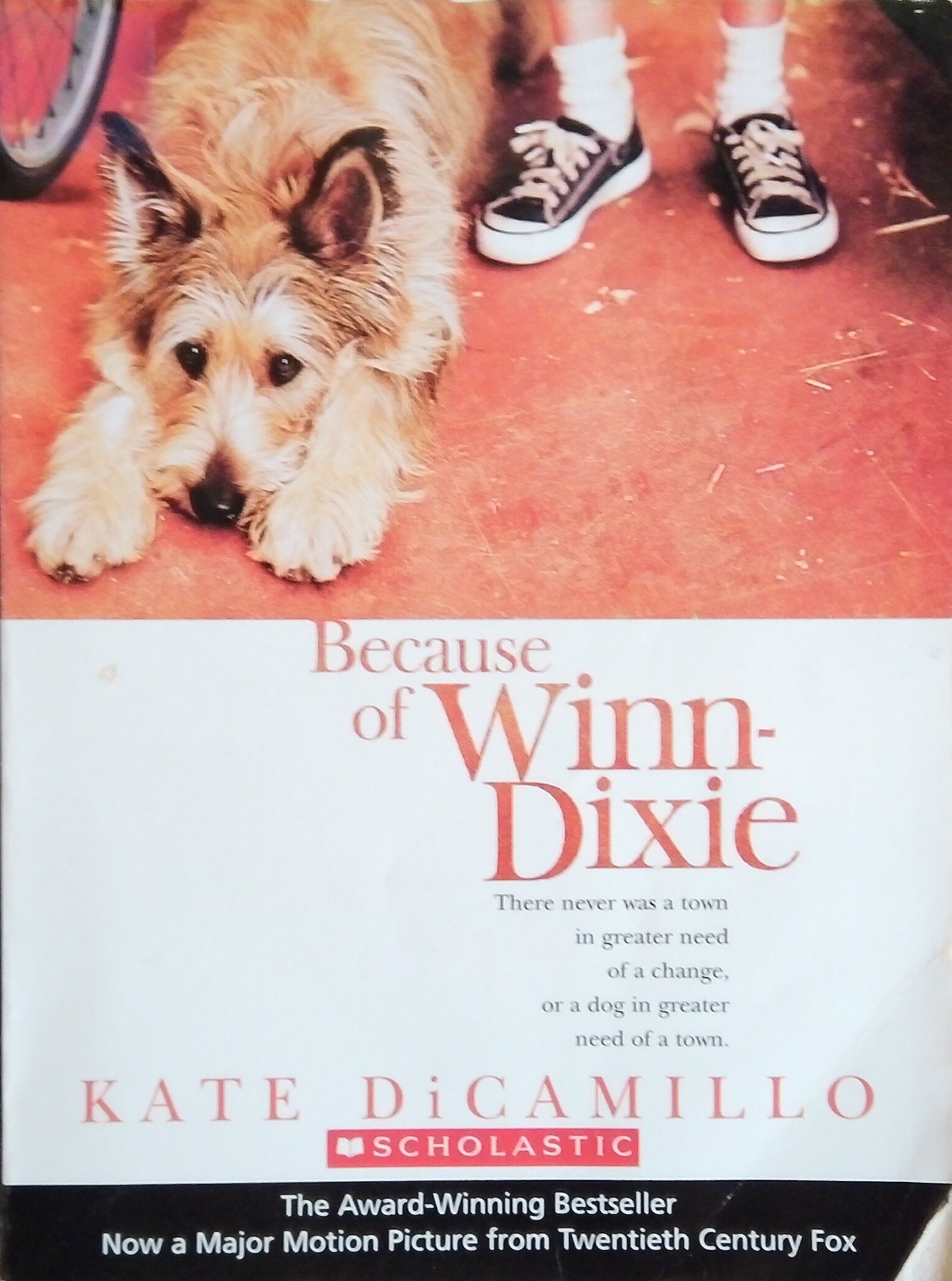 Because of Winn-Dixie