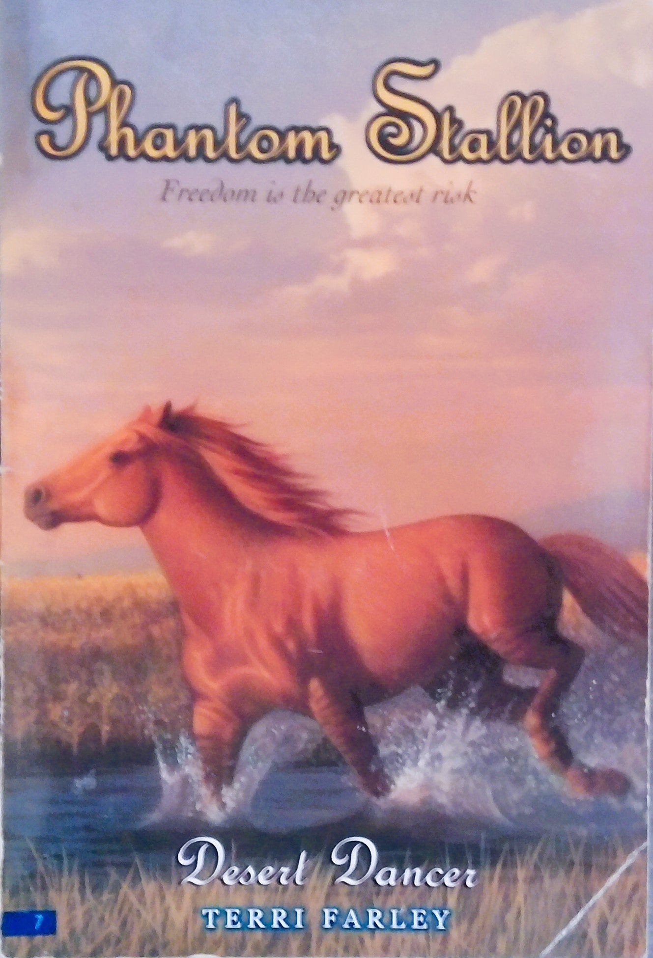 Phantom Stallion: Desert Dancer