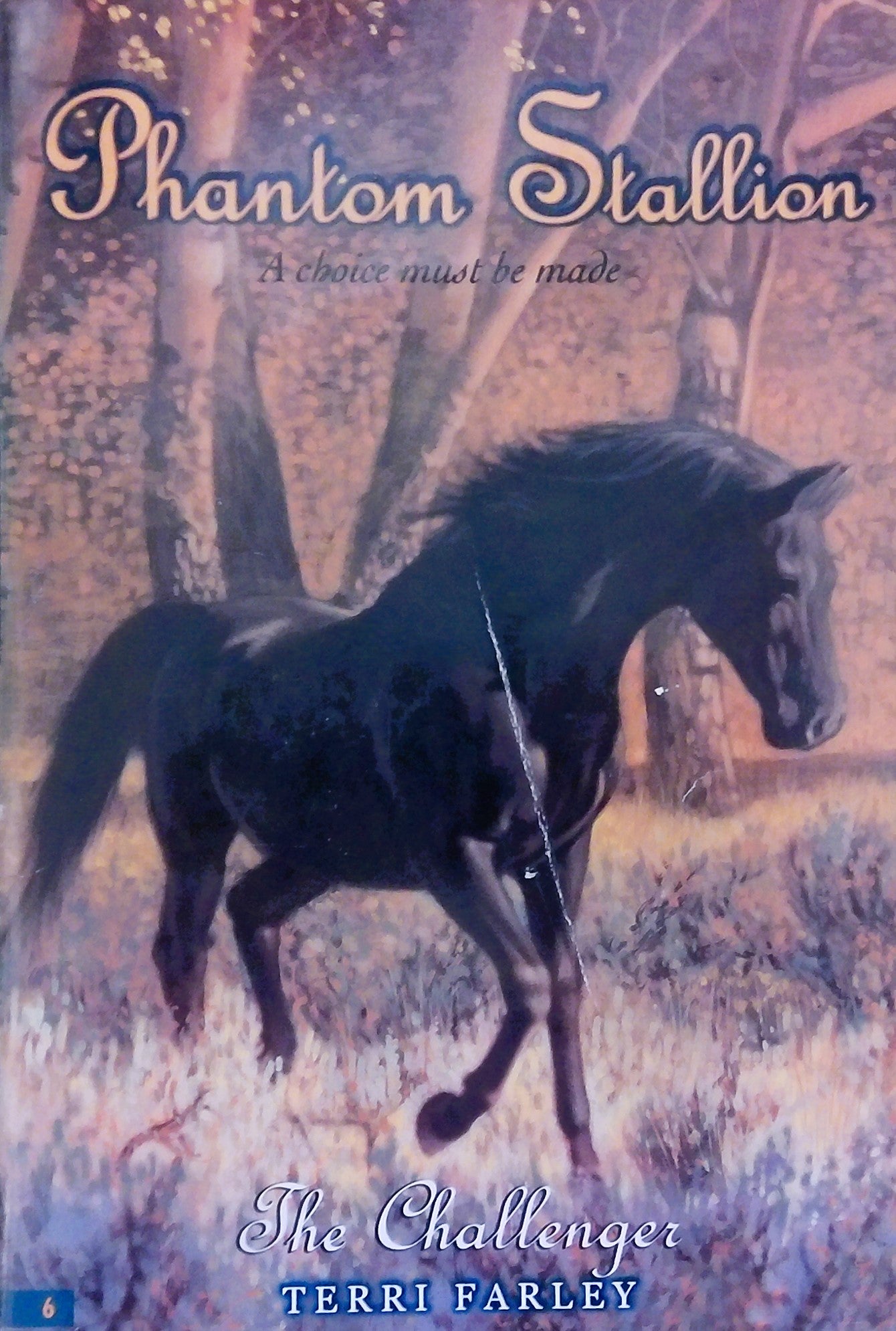 Phantom Stallion: The Challenger