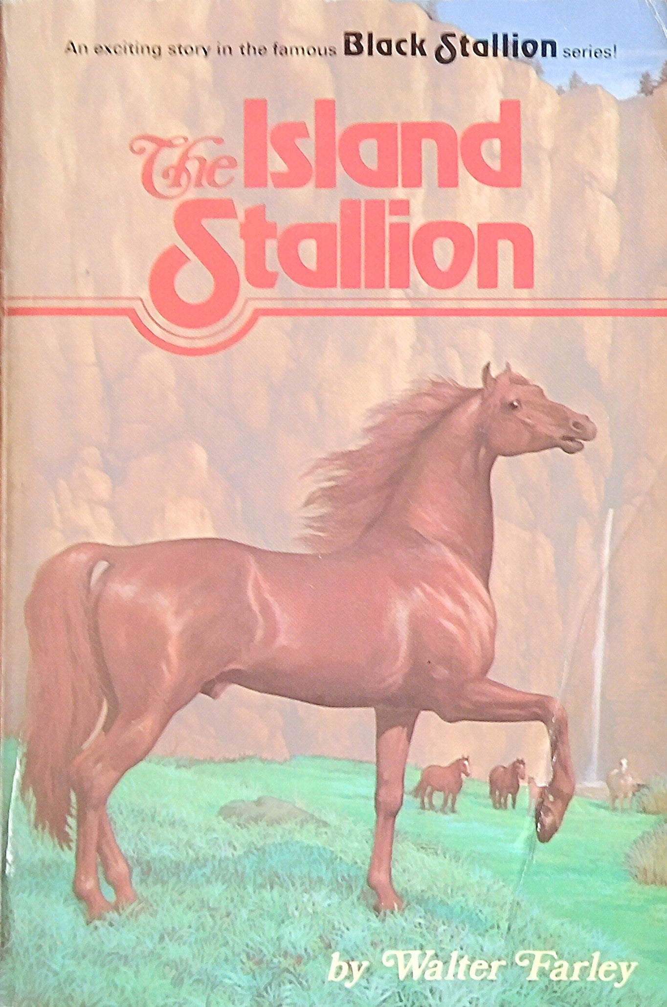 Island Stallion
