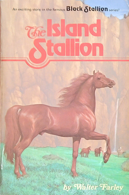 Island Stallion