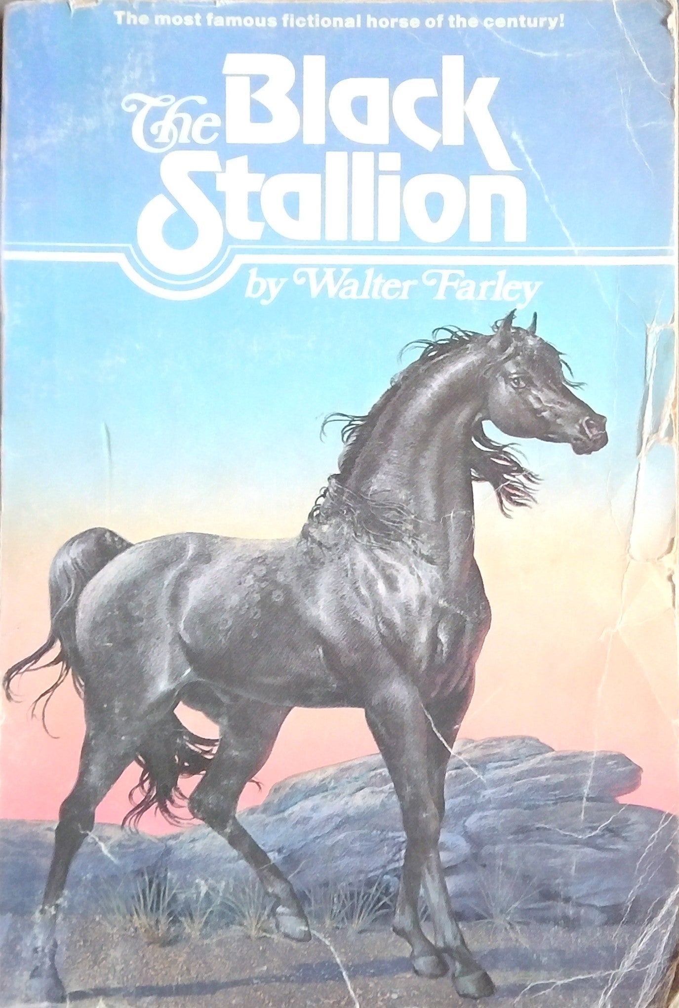The Black Stallion