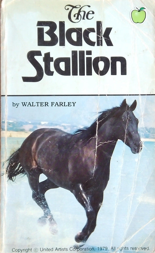 The Black Stallion