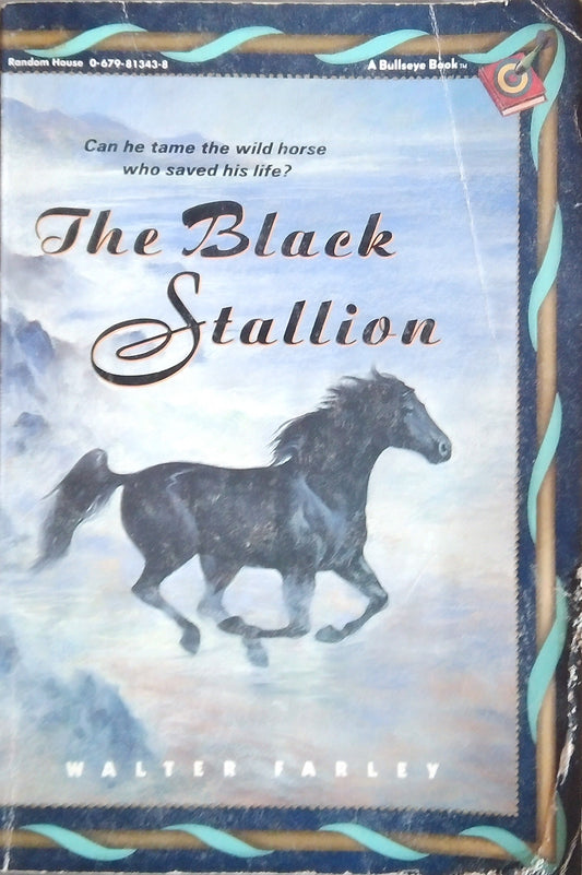 The Black Stallion