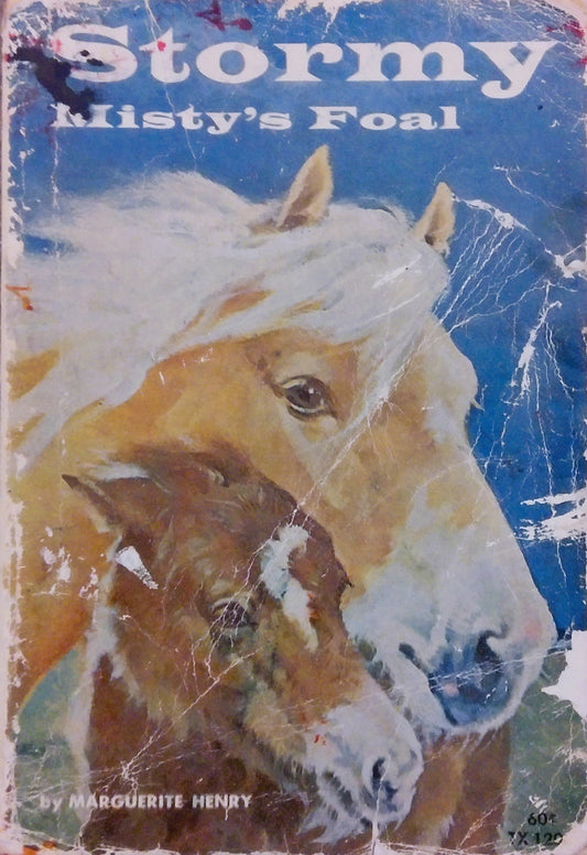 Stormy. Misty's Foal