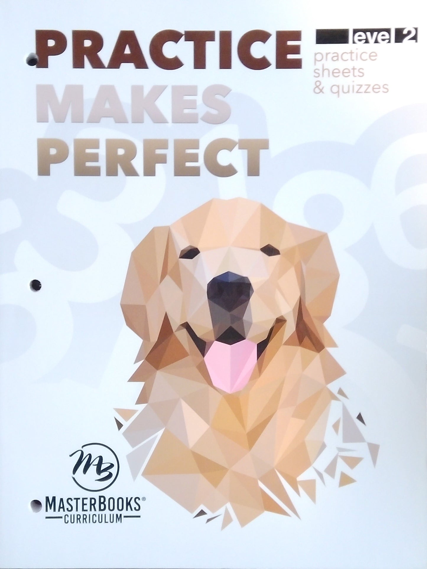 Practice Makes Perfect: Level 2