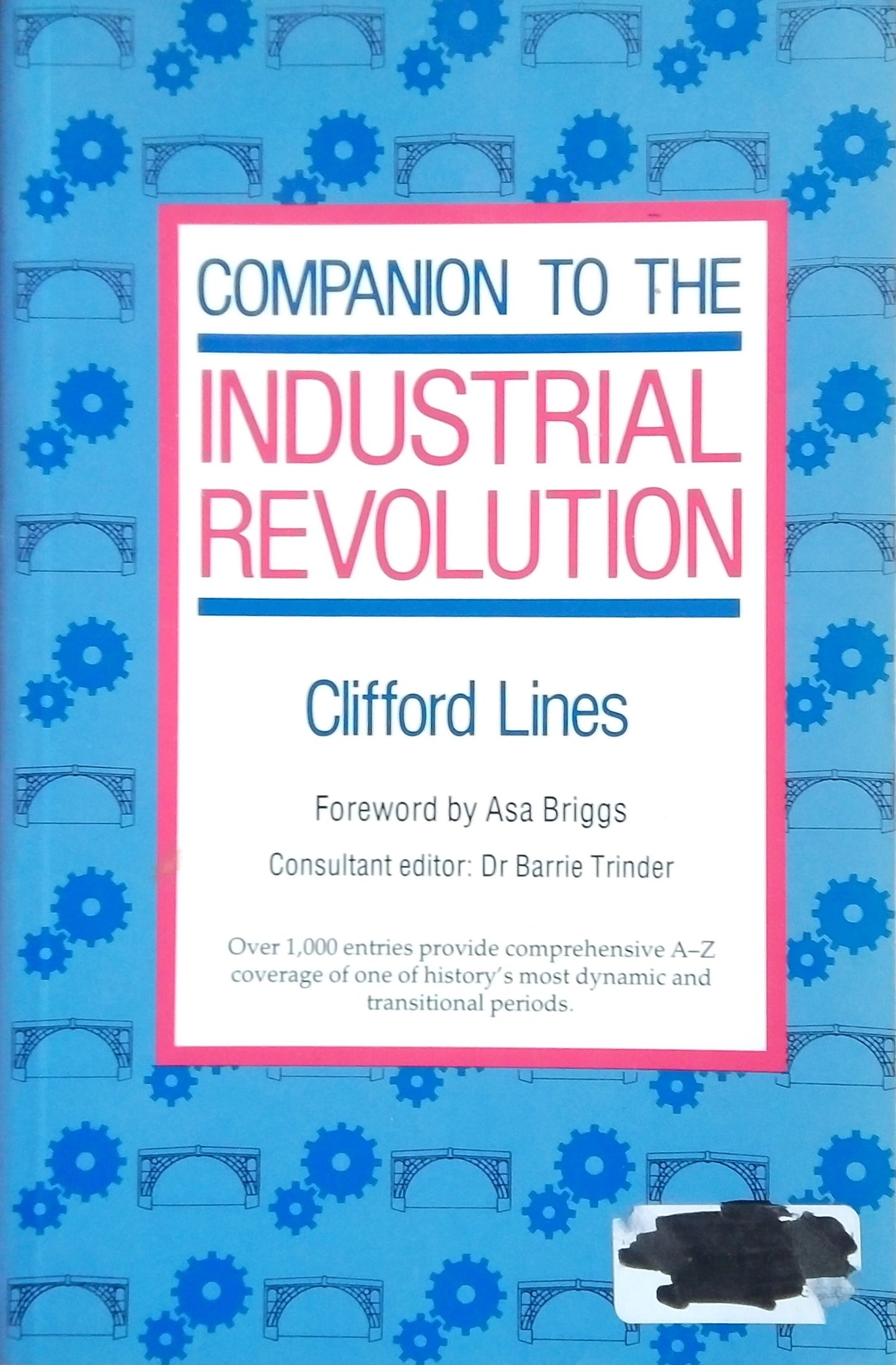 Companion To The Industrial Revolution