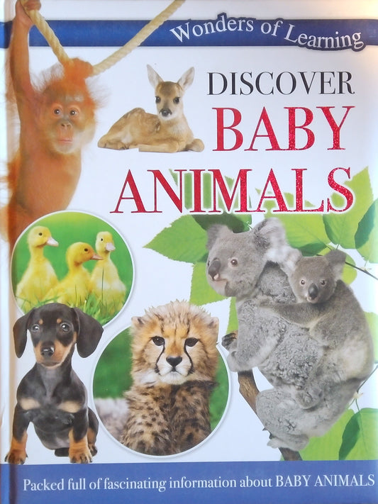 Discover Baby Animals