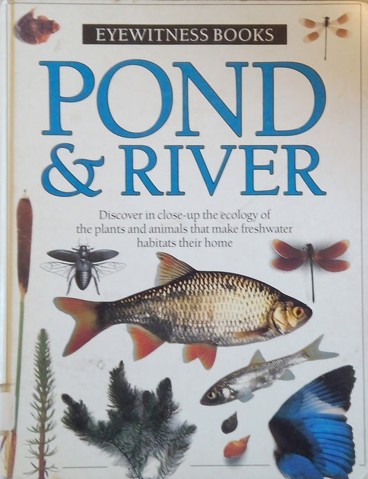 Eyewitness: Pond & River