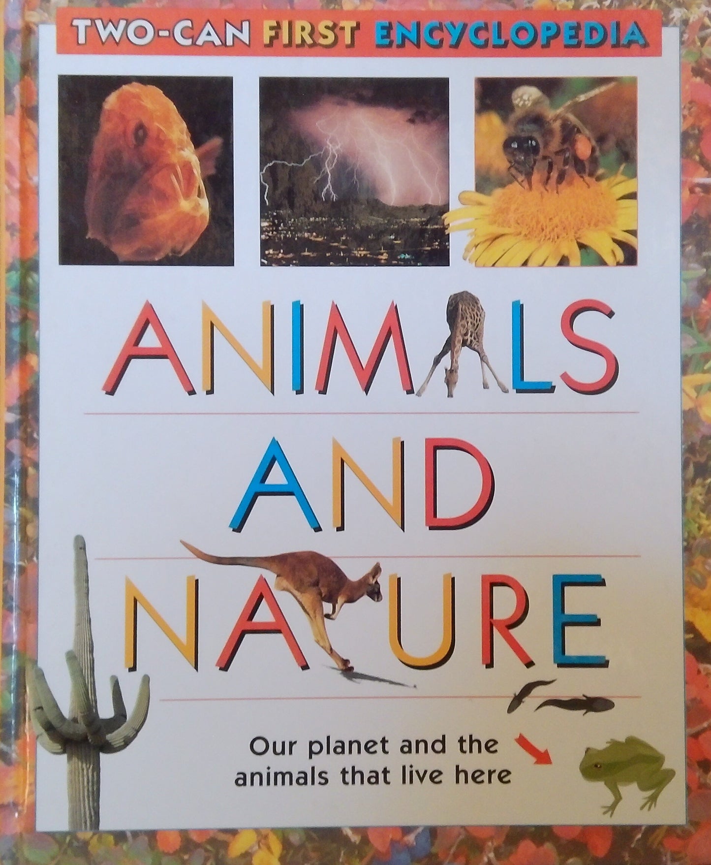 Two-Can First Encyclopedias: Animals And Nature