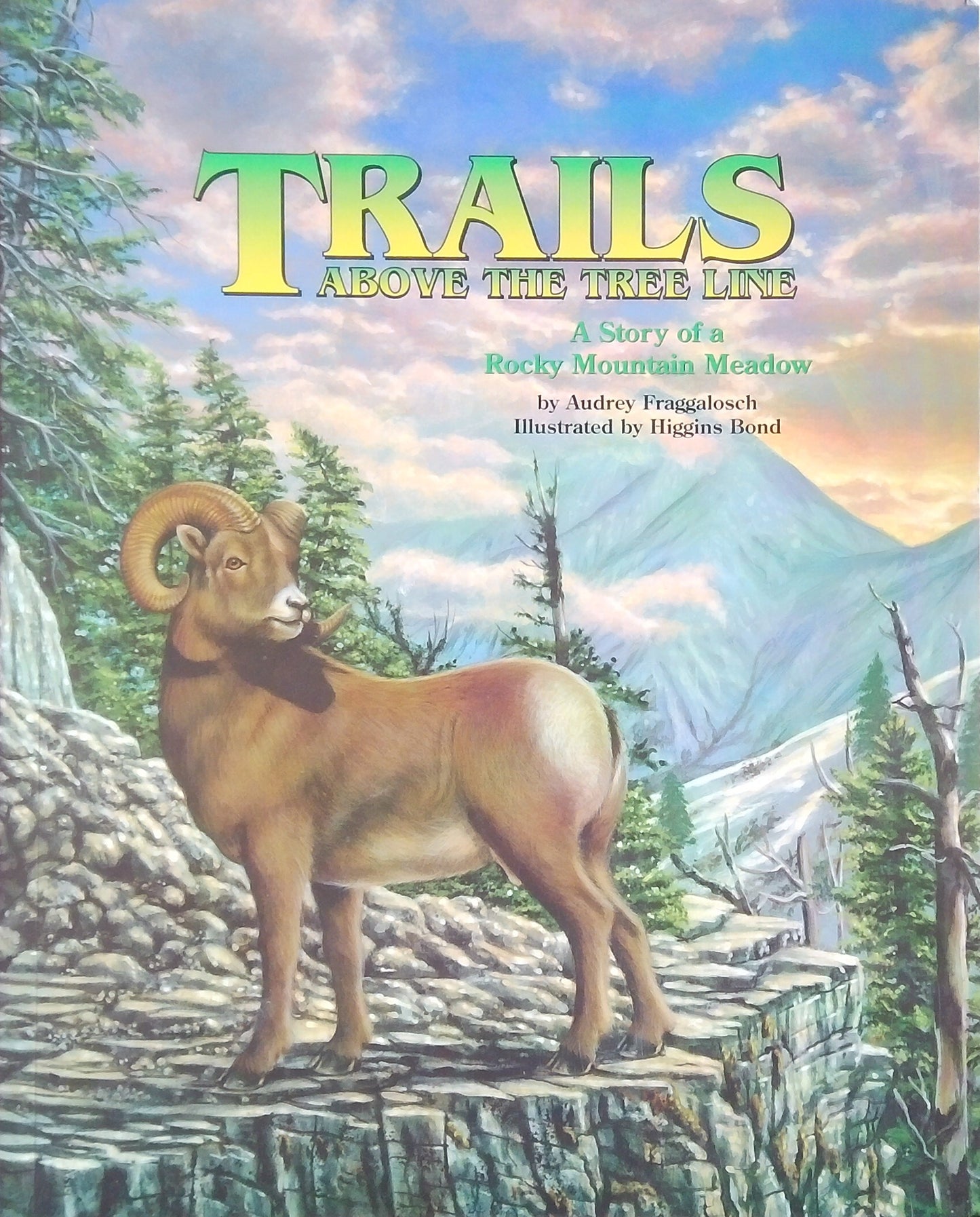 Trails Above The Tree Line