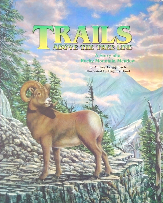 Trails Above The Tree Line