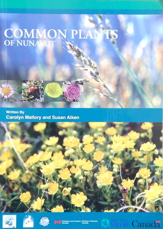 Common Plants Of Nunavut