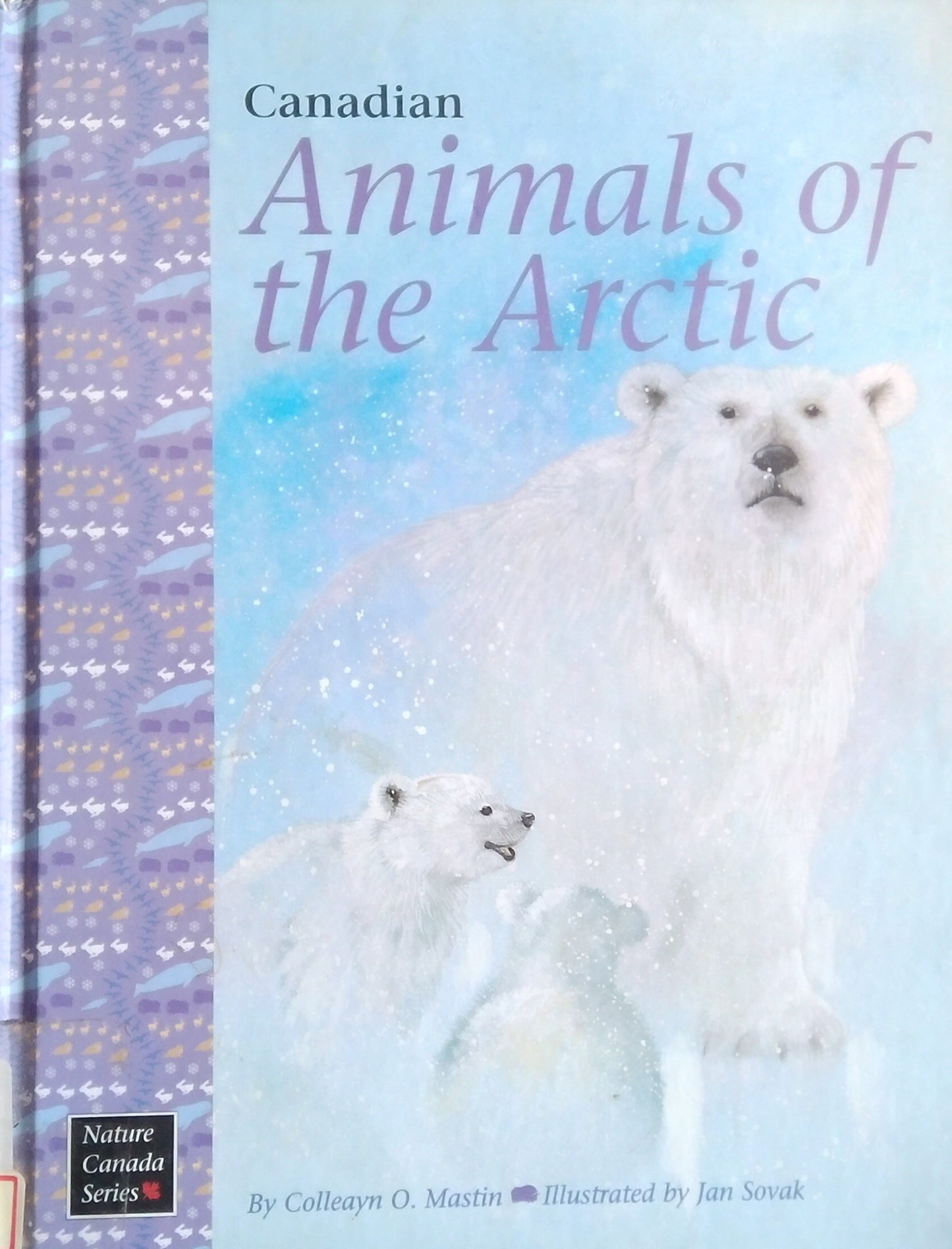 Canadian Animals Of The Arctic
