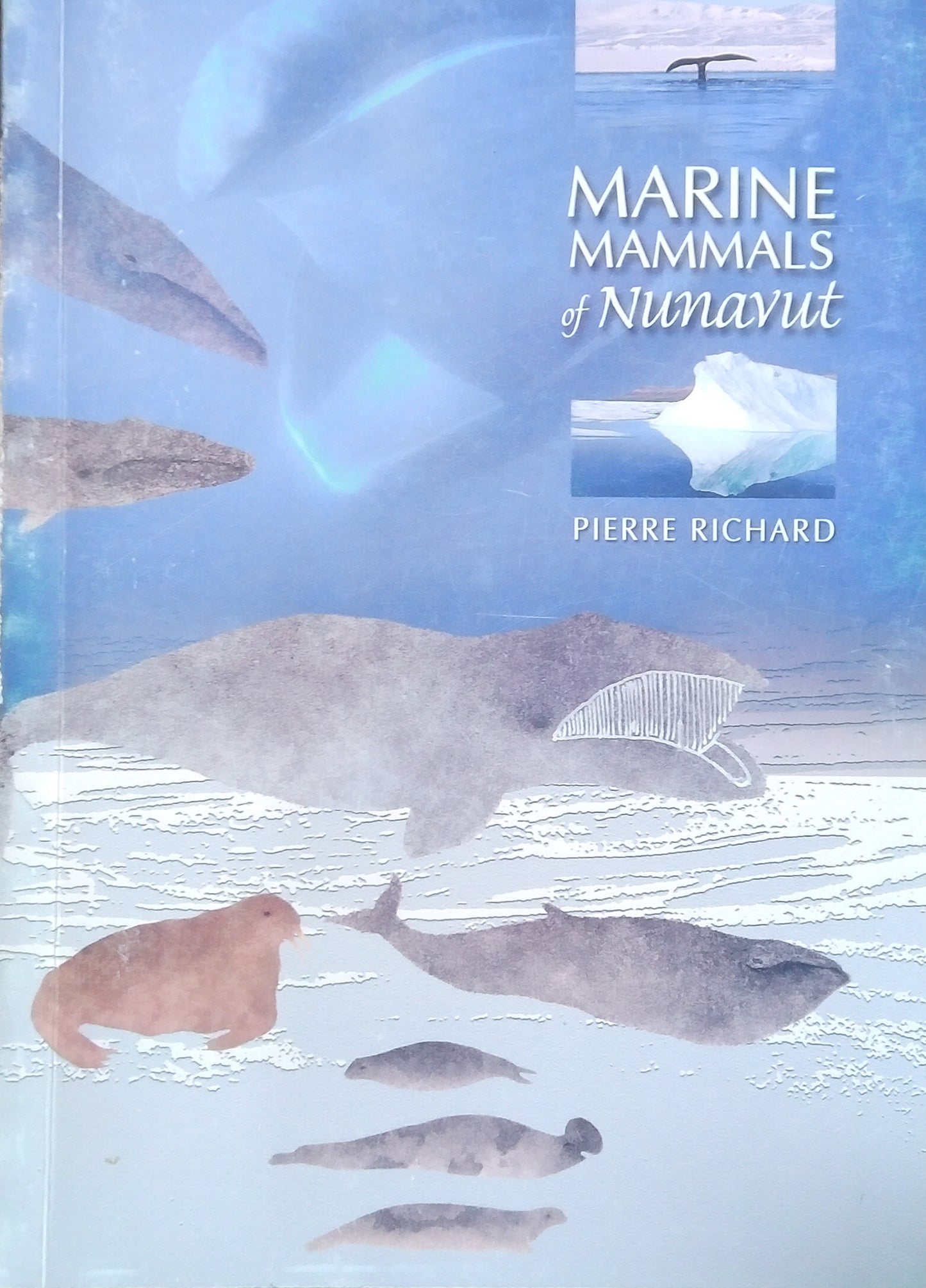 Marine Mammals Of Nunavut