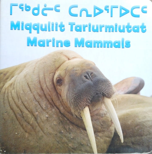 Marine Mammals