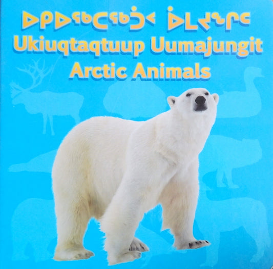 Arctic Animals