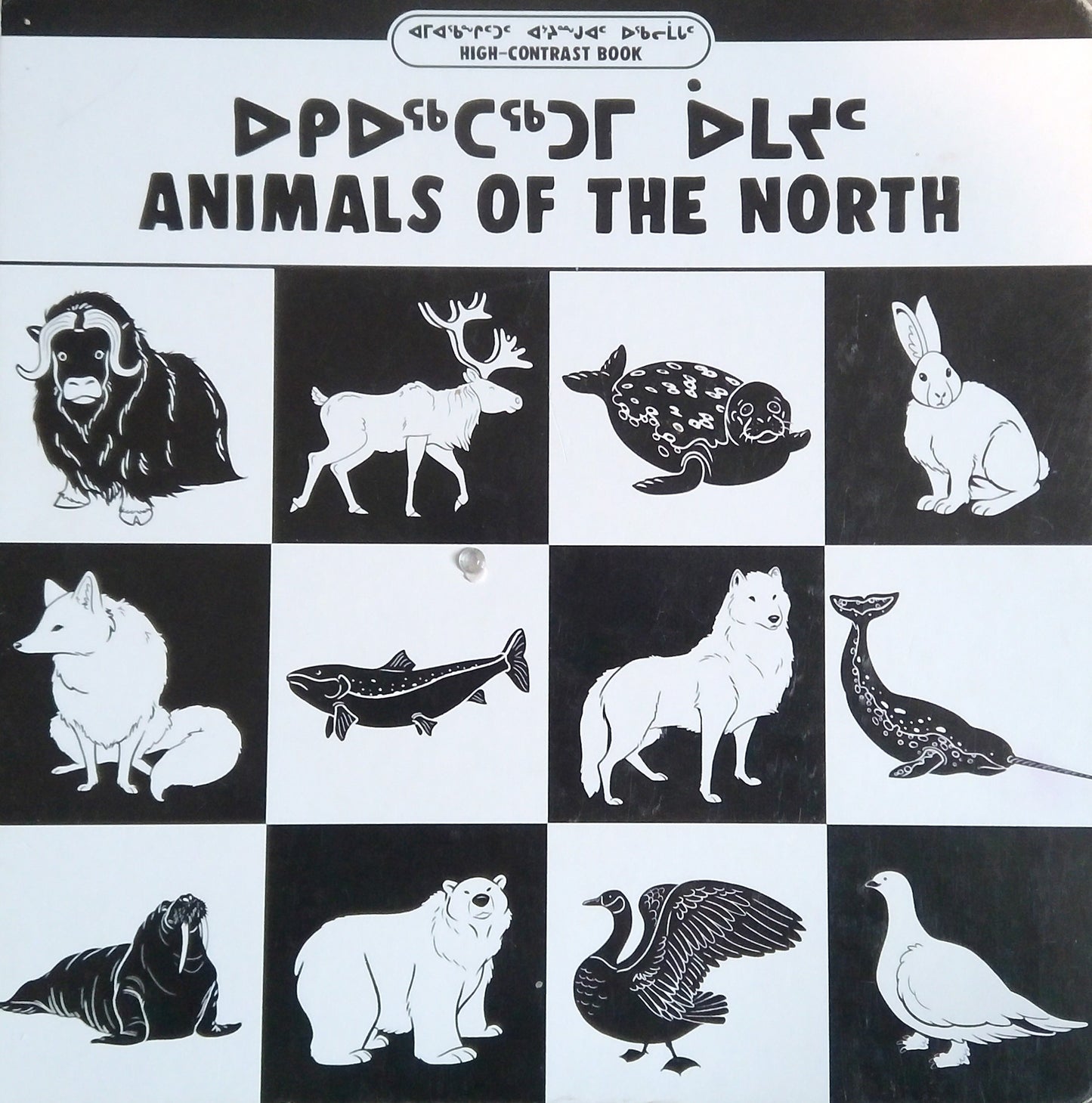 Animals Of The North