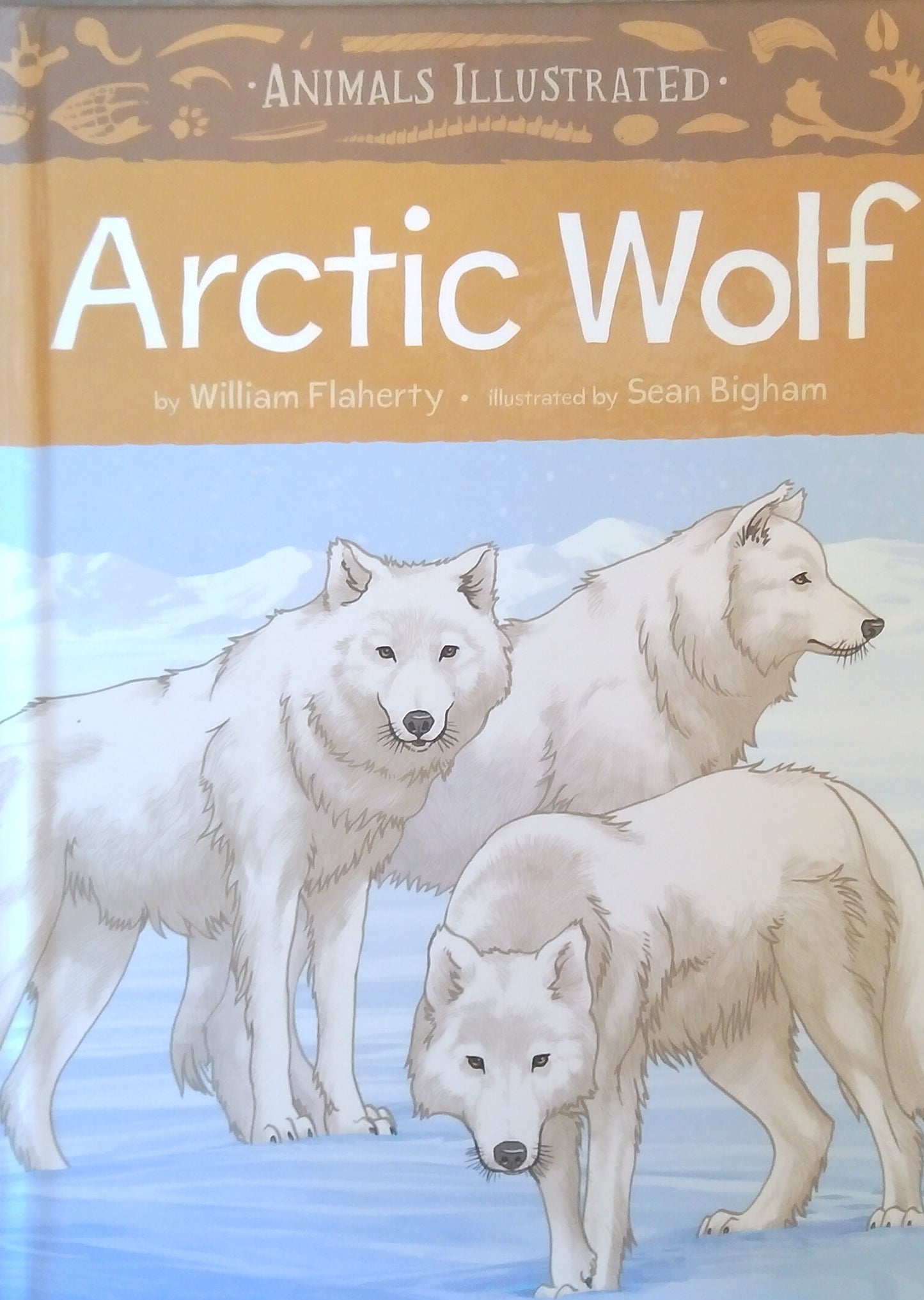 Animals Illustrated: Arctic Wolf