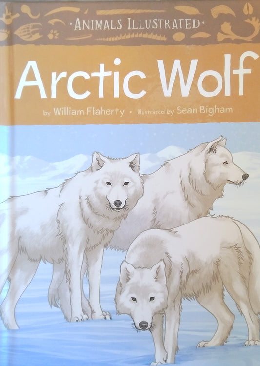 Animals Illustrated: Arctic Wolf