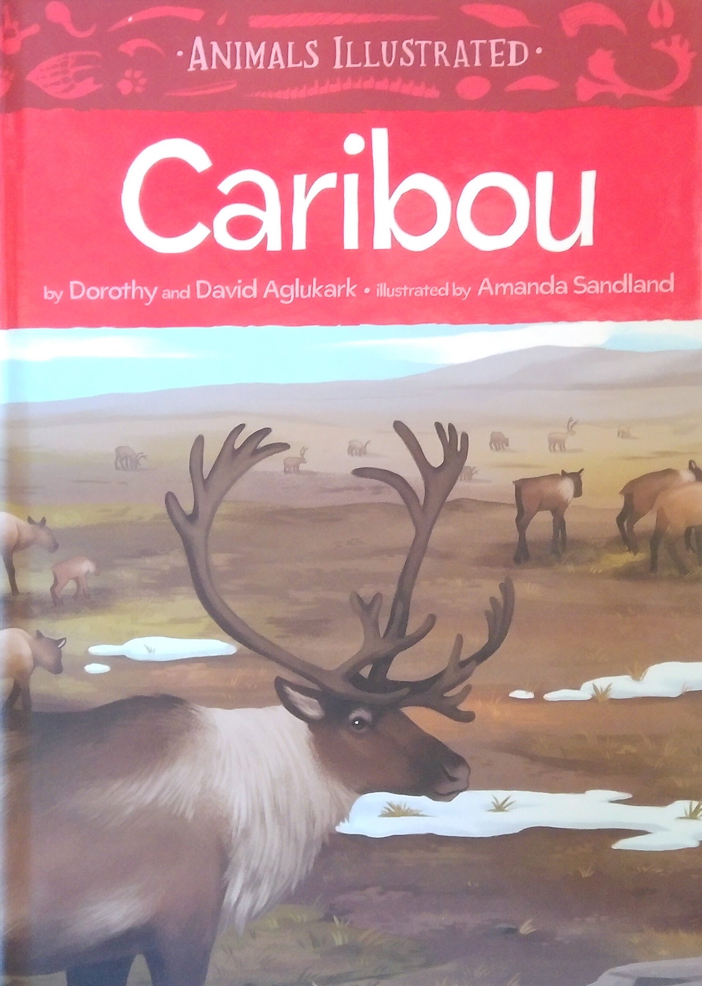 Animals Illustrated: Caribou
