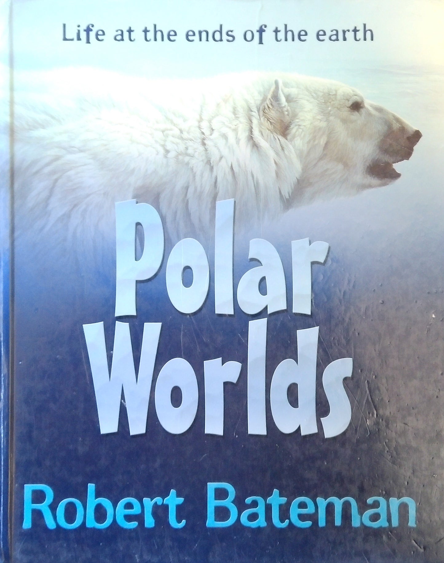 Polar World