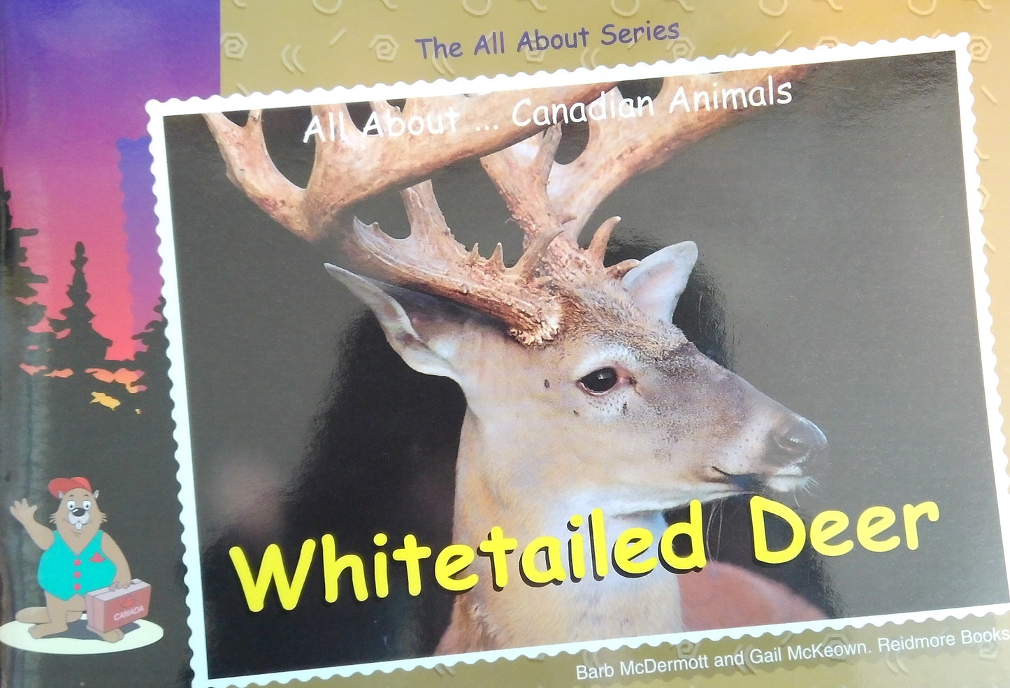 All About Canadian Animals: Whitetailed Deer