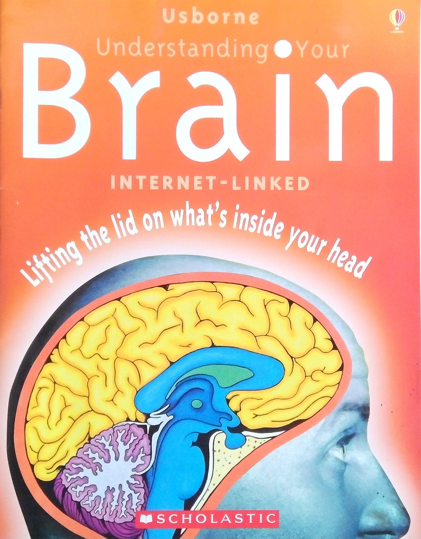 Understanding Your Brain