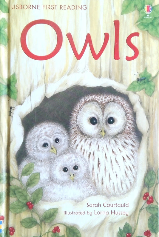 Owls