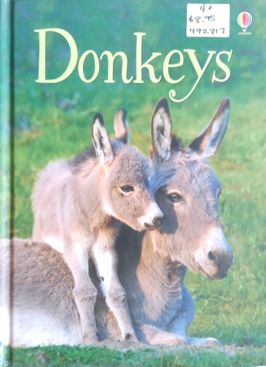Usborne Beginners: Donkeys