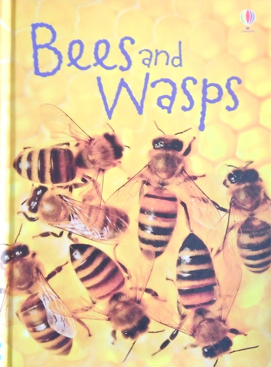 Usborne Beginners: Bees And Wasps