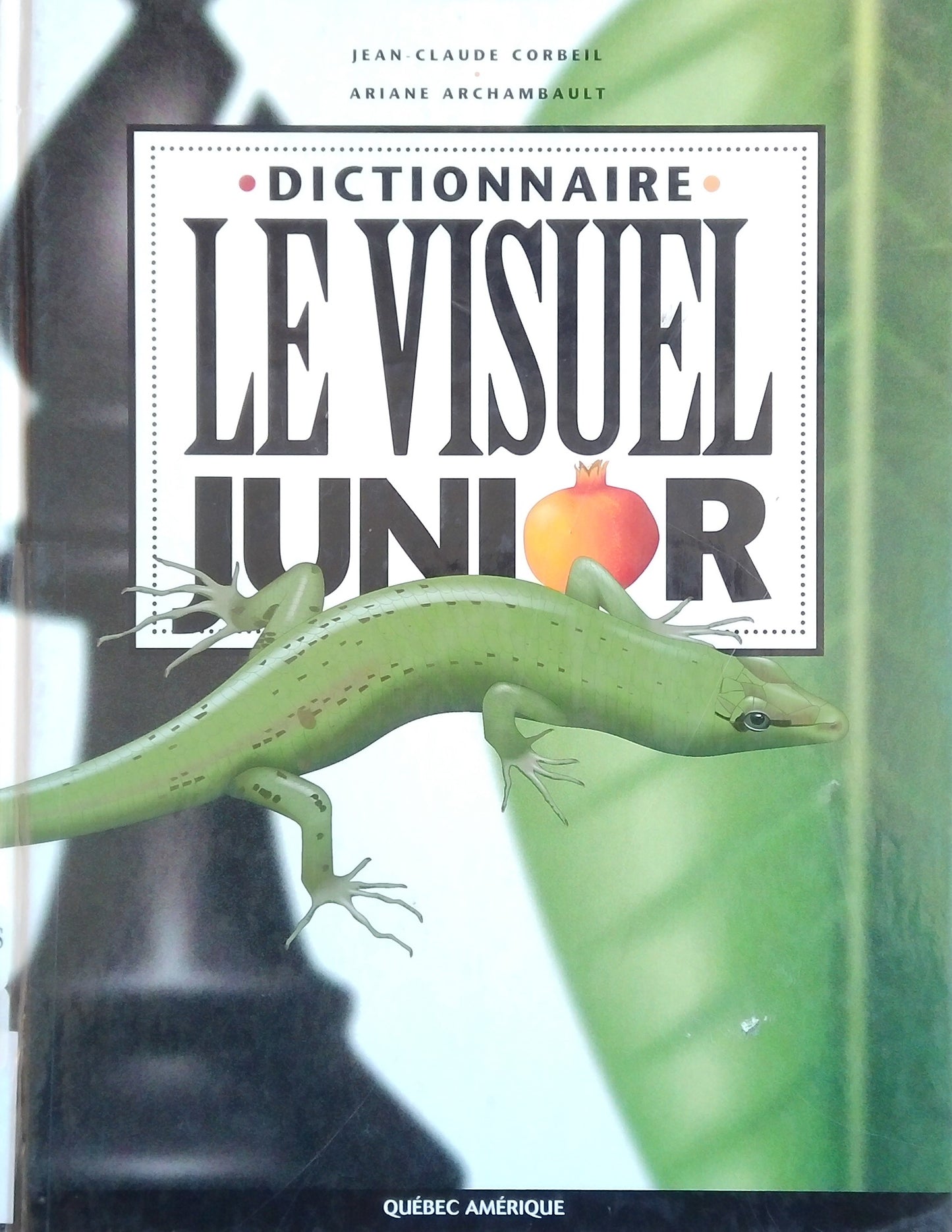 Dictionnare Le Visuel Junior
