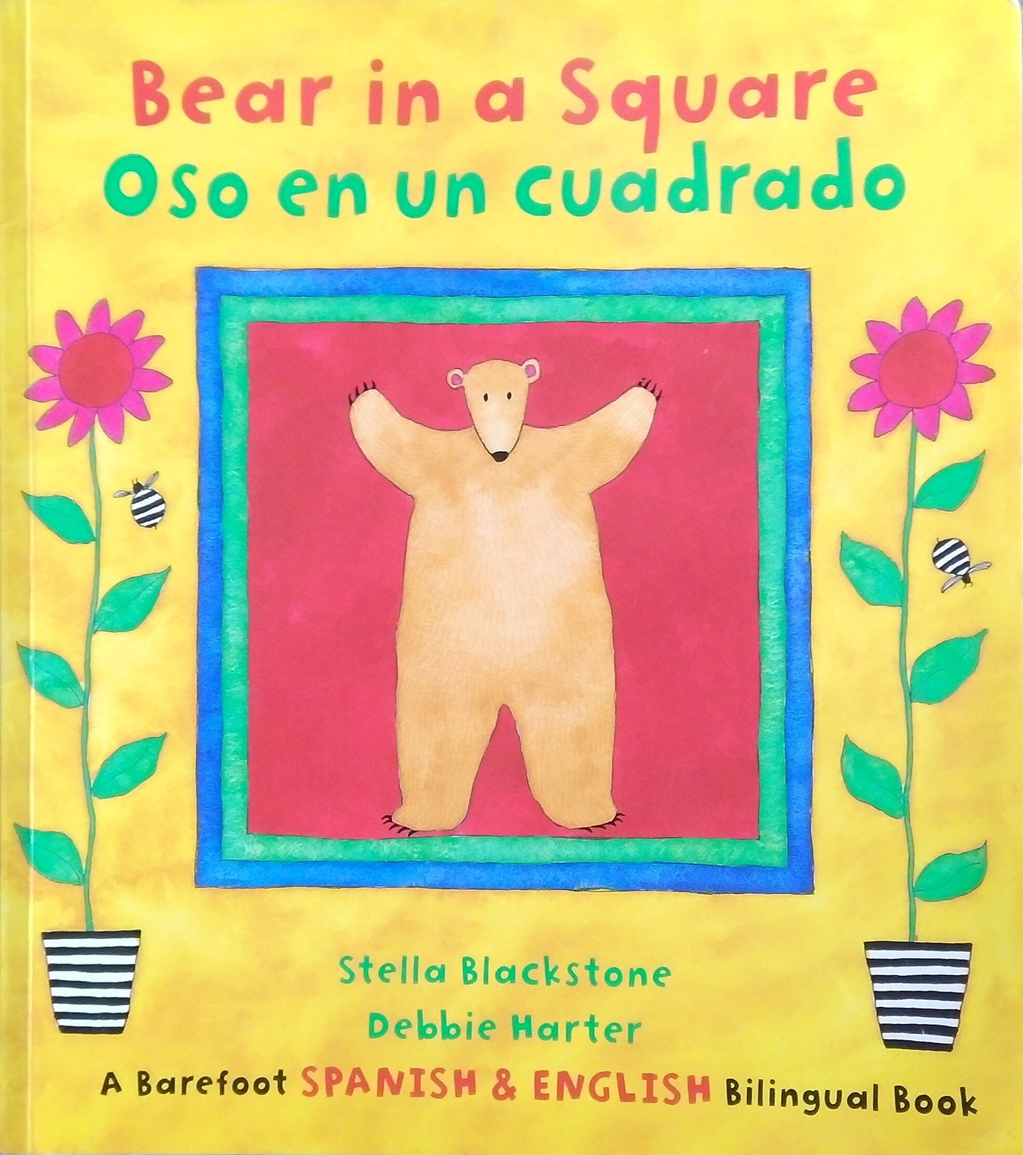 Bear In A Square/Oso en un Cuadrado