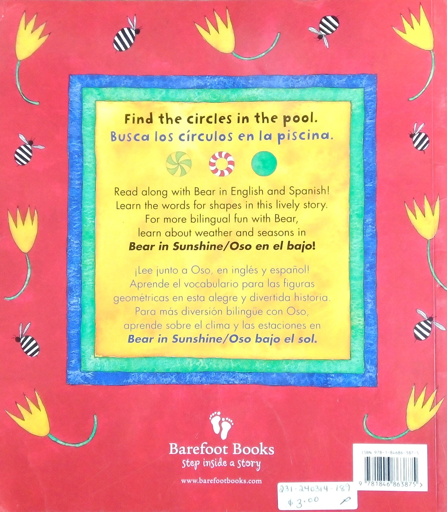 Bear In A Square/Oso en un Cuadrado