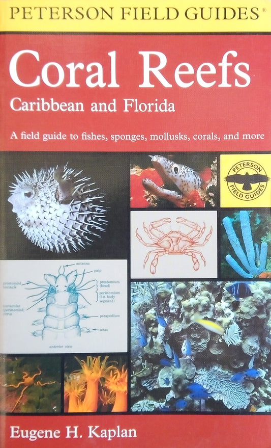 Coral Reefs: Caribbean And Florida