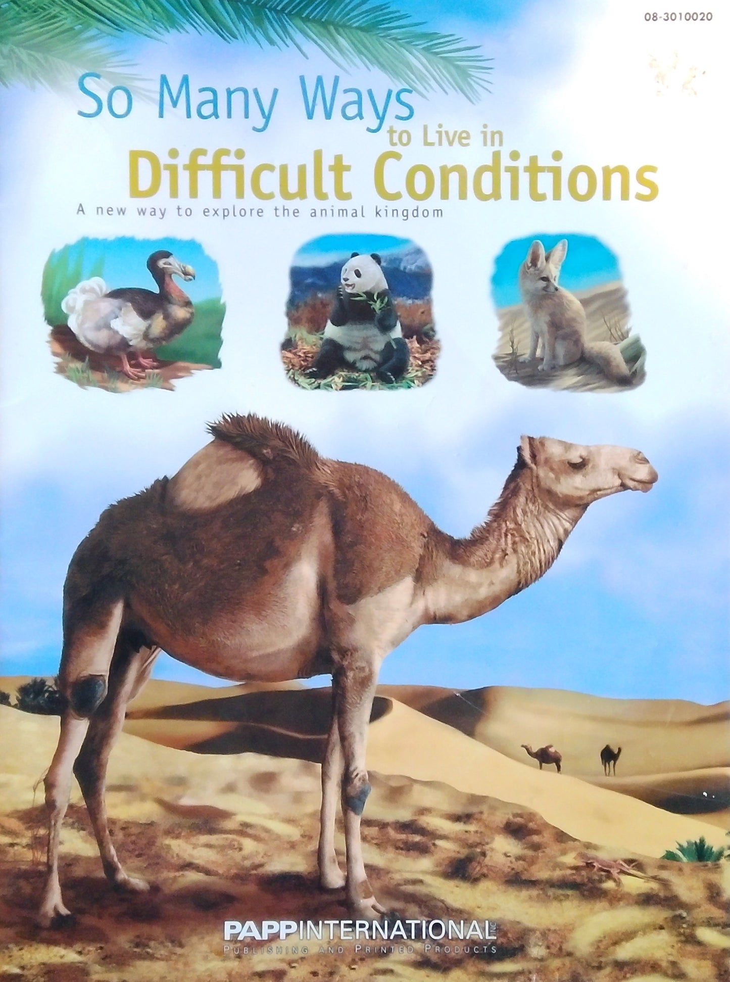 So Many Ways To Live In Difficult Conditions