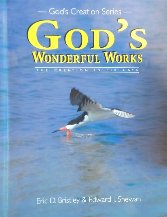 God's Wonderful Works