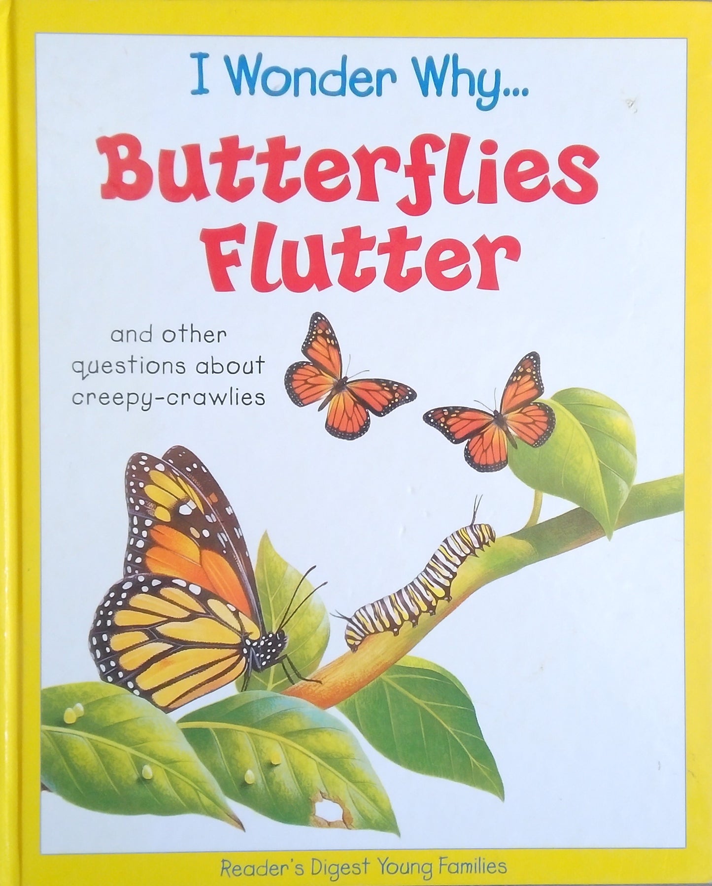 I Wonder Why... Butterflies Flutter