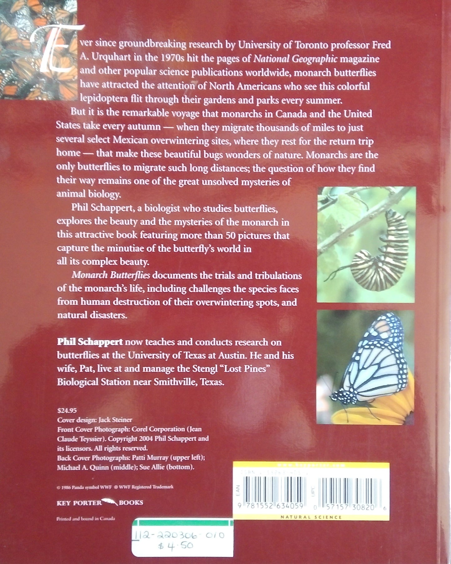 Monarch Butterflies
